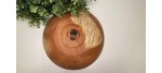 Pencil Spalted Red Oak Fruit Bowl