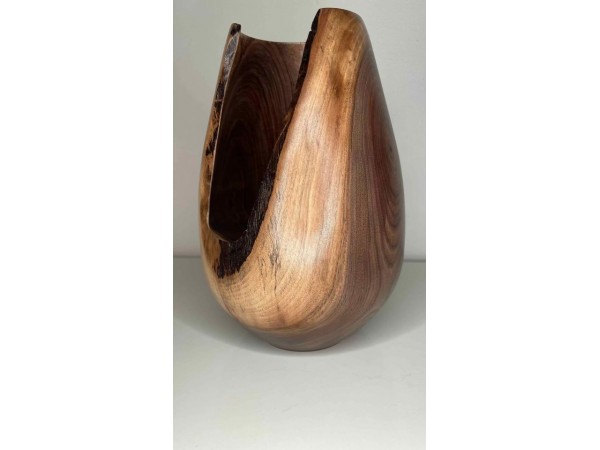 Meet "The Dragon" - Natural Edge Black Walnut Crotch Hollow Form