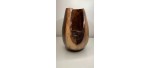 Meet "The Dragon" - Natural Edge Black Walnut Crotch Hollow Form