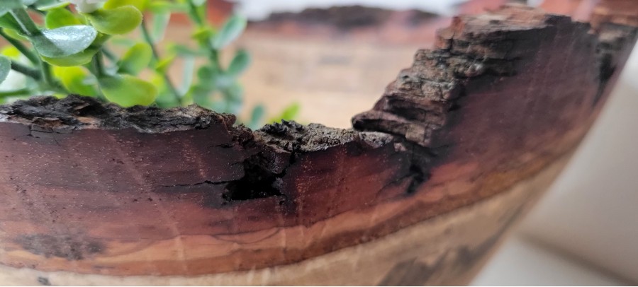 Extra Large Live Edge Bur Oak Bowl | Finished with Linseed Oil & Beeswax | Flawed