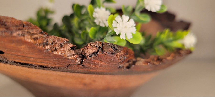 Black walnut bowl #6 turned this week in Saint Anne, IL, wood sourced from Mokena, IL this summer. 