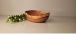 Spalted Red Oak Natural Edge Bowl | SOLD