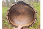 Pretty Good (but not great) Live Edge Black Walnut Bowl by St. Anne Woodturner. 8.75" x 3.75"