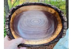 Pretty Good Live Edge Black Walnut Bowl by St. Anne Woodturner. 10" x 4"