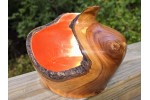 The Prodigy - Apple Wood (w/Copper Leaf) Live Edge Hollow Form by Pretty Good Woodturner-9.5" x 5.5" - Functional Art - Wood Sculpture - Housewarming Gift