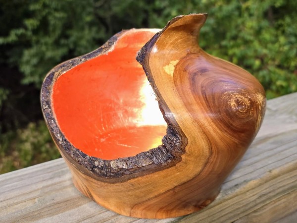 The Prodigy - Apple Wood (w/Copper Leaf) Live Edge Hollow Form by Pretty Good Woodturner-9.5" x 5.5" - Functional Art - Wood Sculpture - Housewarming Gift