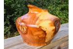 The Prodigy - Apple Wood (w/Copper Leaf) Live Edge Hollow Form by Pretty Good Woodturner-9.5" x 5.5" - Functional Art - Wood Sculpture - Housewarming Gift