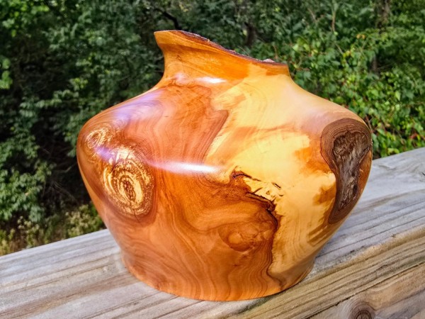 The Prodigy - Apple Wood (w/Copper Leaf) Live Edge Hollow Form by Pretty Good Woodturner-9.5" x 5.5" - Functional Art - Wood Sculpture - Housewarming Gift