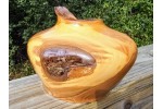 The Prodigy - Apple Wood (w/Copper Leaf) Live Edge Hollow Form by Pretty Good Woodturner-9.5" x 5.5" - Functional Art - Wood Sculpture - Housewarming Gift