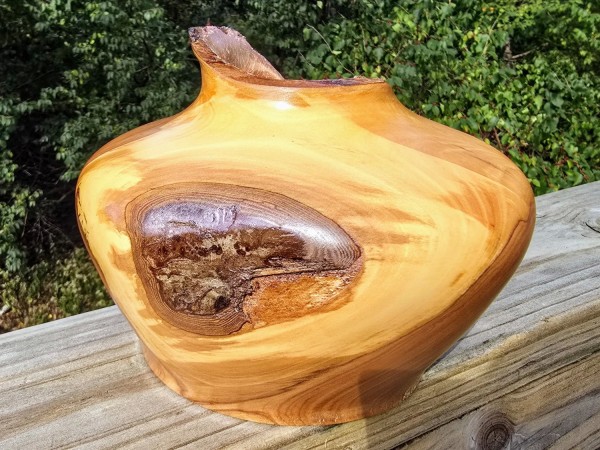 The Prodigy - Apple Wood (w/Copper Leaf) Live Edge Hollow Form by Pretty Good Woodturner-9.5" x 5.5" - Functional Art - Wood Sculpture - Housewarming Gift