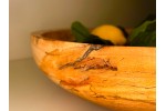 Meet "Mayhem" - A Large Beyond Spalted Butternut (White Walnut) Fruit Bowl | 13" Diameter x 4" Tall | Finished with Food Grade Mineral Oil