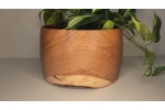 Locally Hand Made (Kankakee County) Large Black Locust Salad Bowl - Salvaged from Becoming Firewood