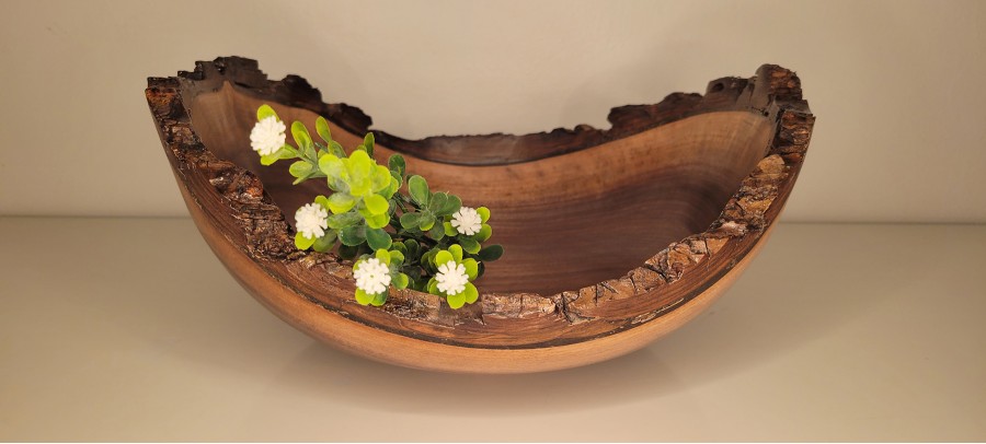 Black walnut bowl #7 turned this week in Saint Anne, IL, wood sourced from Mokena, IL this summer. 