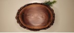 Black walnut bowl #7 turned this week in Saint Anne, IL, wood sourced from Mokena, IL this summer. 