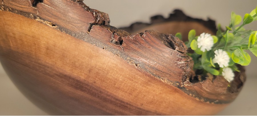 Black walnut bowl #7 turned this week in Saint Anne, IL, wood sourced from Mokena, IL this summer. 