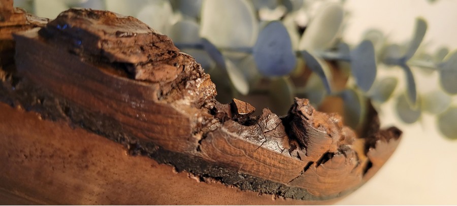 Black Walnut LIVE Edge Winged Bowl - Large | Sealed w/Polyurethane & Buffed to a Matte Finish