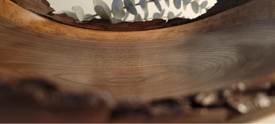 Black Walnut LIVE Edge Winged Bowl - Large | Sealed w/Polyurethane & Buffed to a Matte Finish