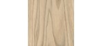 Butternut (White Walnut)